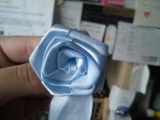 Blue Rose 1