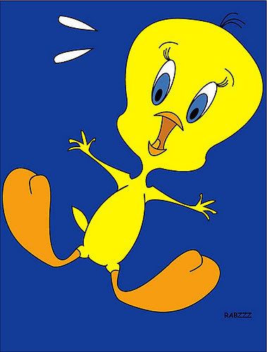 172942491_5_Y8F4tweety.jpg tweety image by bepo1