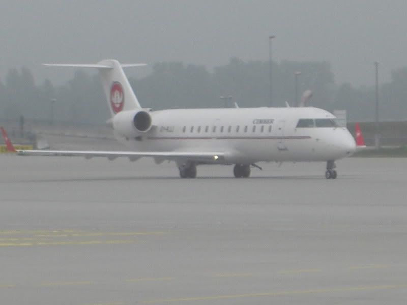 CIMG7486.jpg
