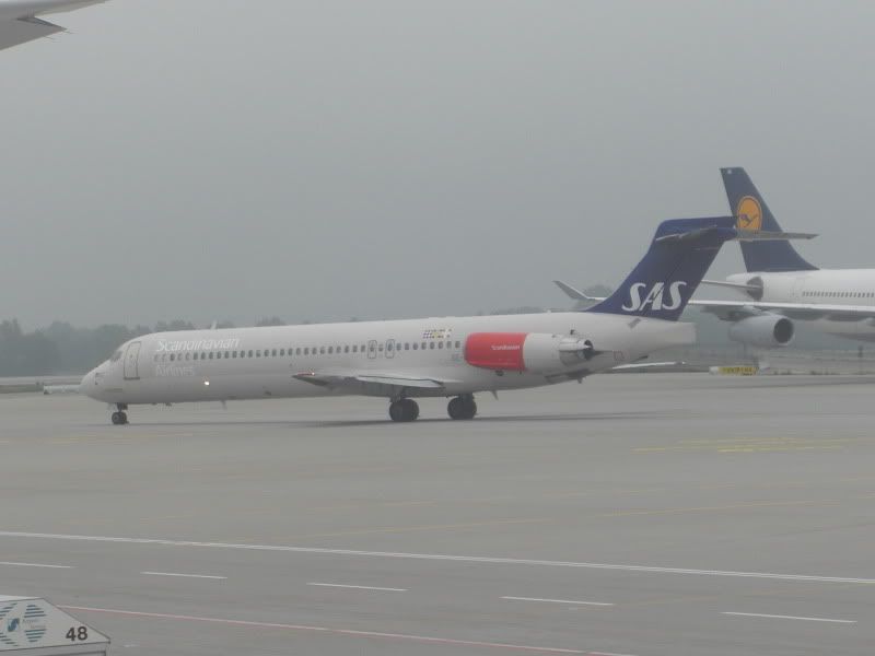 CIMG7487.jpg