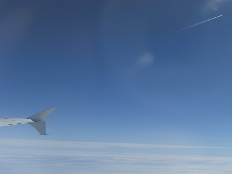CIMG7493.jpg