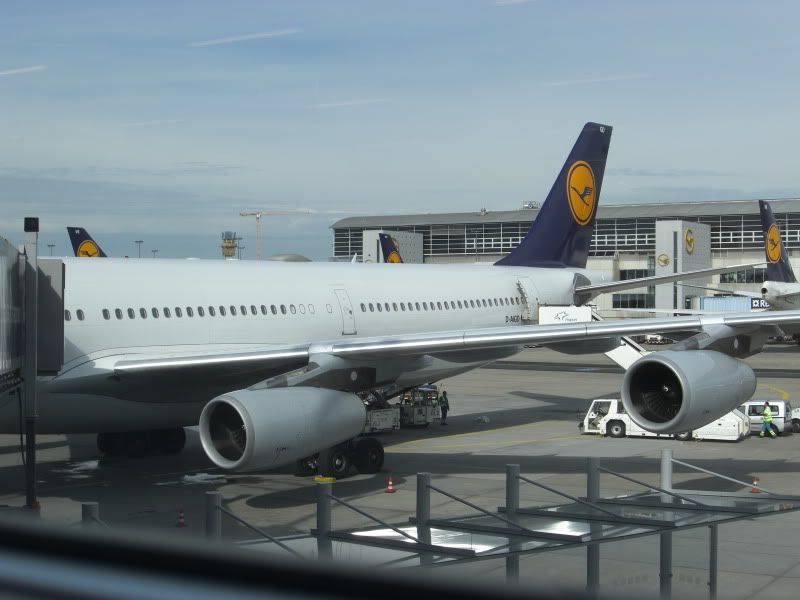 CIMG7683.jpg
