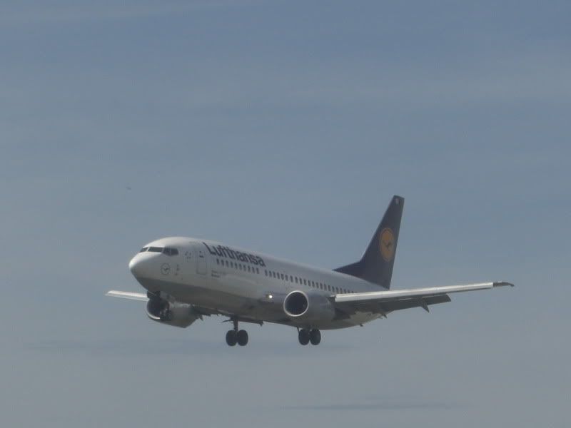 CIMG7698.jpg