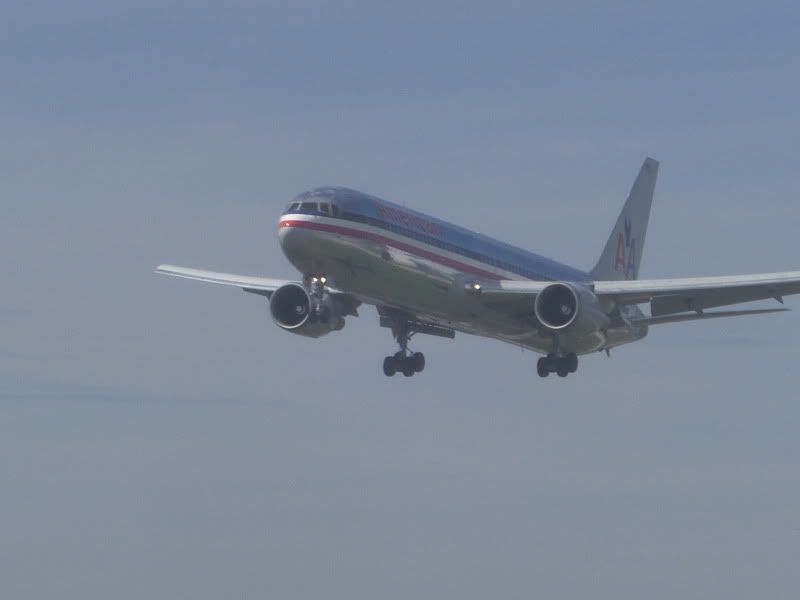 CIMG7699.jpg