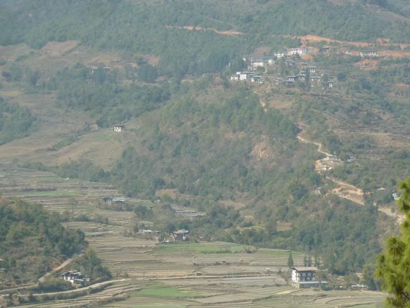 P1200878_zpsdde3fbe0.jpg