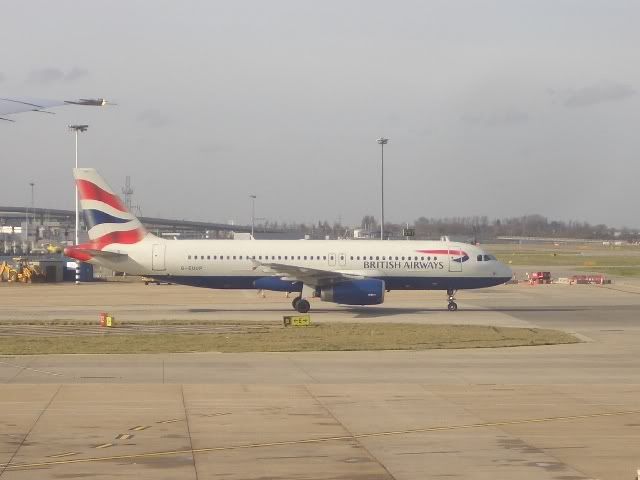 CIMG3534.jpg