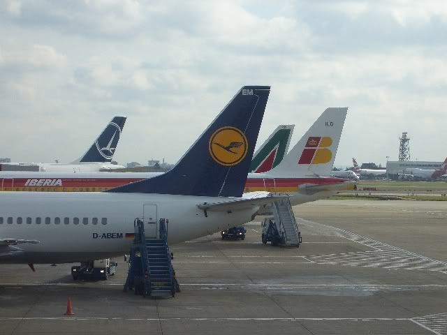 CIMG3537.jpg