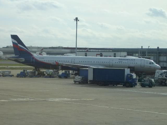 CIMG3544.jpg