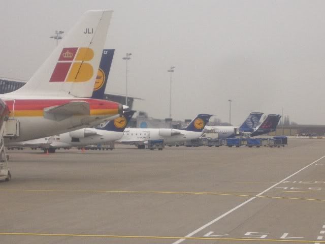 CIMG3646.jpg