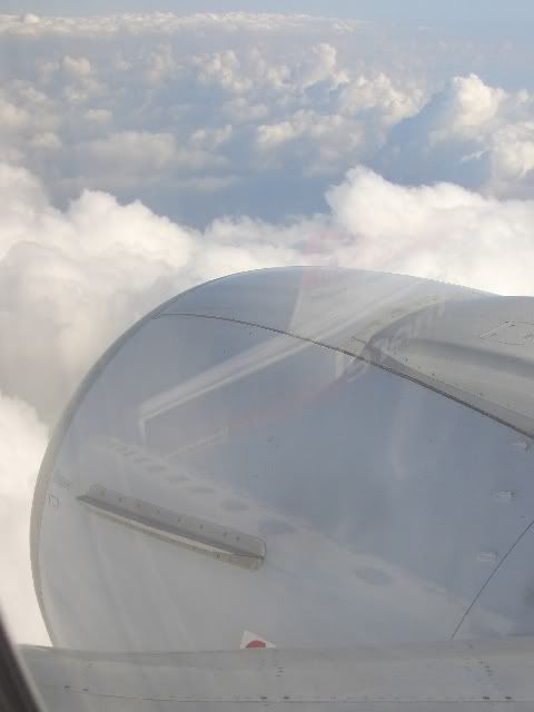CIMG3673.jpg