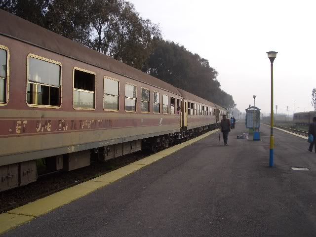 CIMG3727.jpg