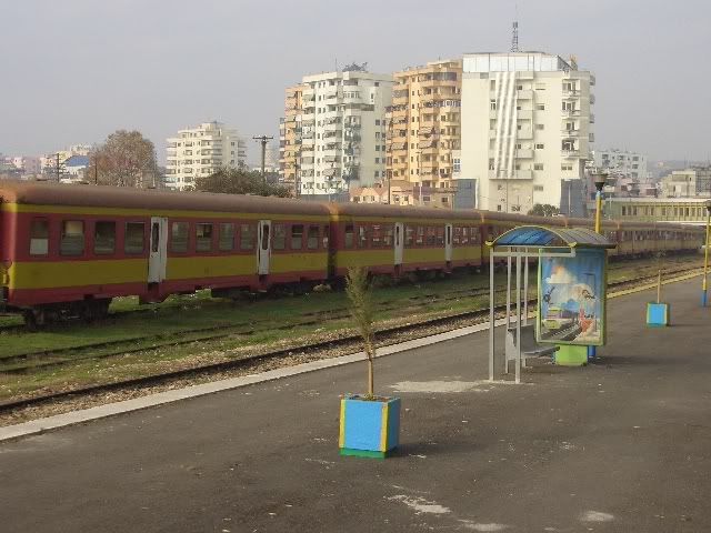 CIMG3729.jpg