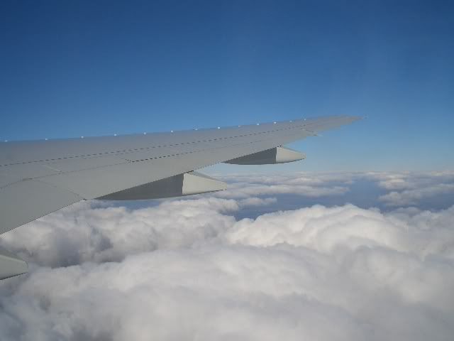 CIMG3854.jpg