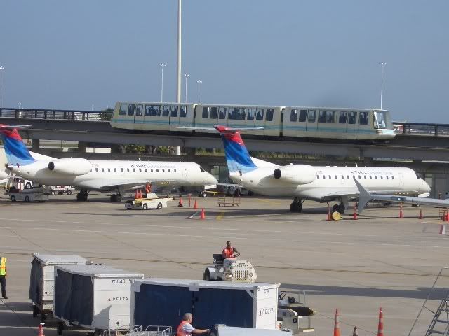 CIMG3942.jpg