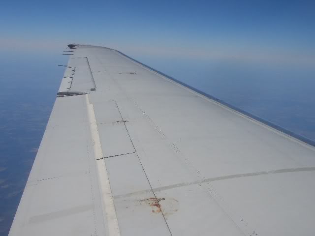CIMG3954.jpg