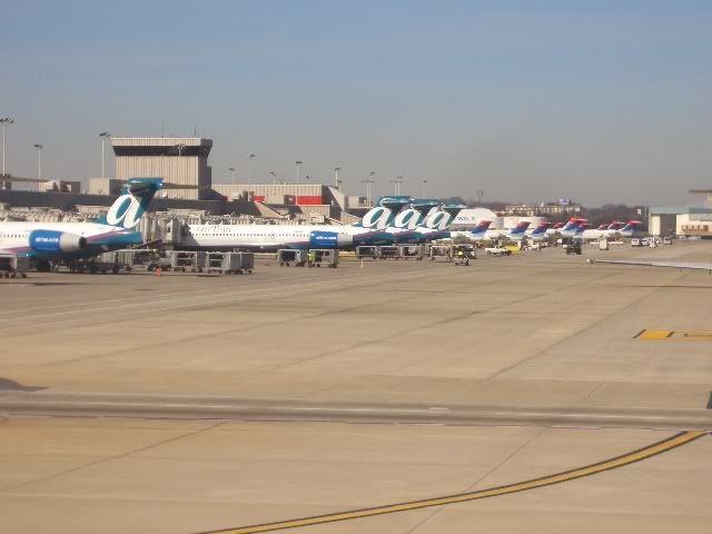 CIMG3984.jpg