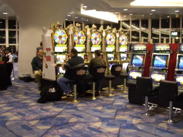 CIMG4076.jpg