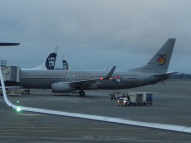 CIMG4099.jpg