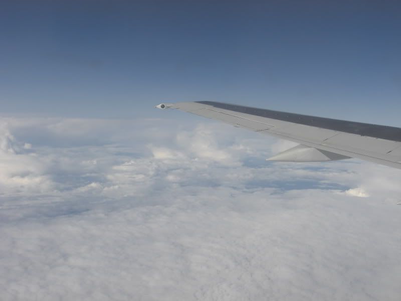 CIMG5383.jpg
