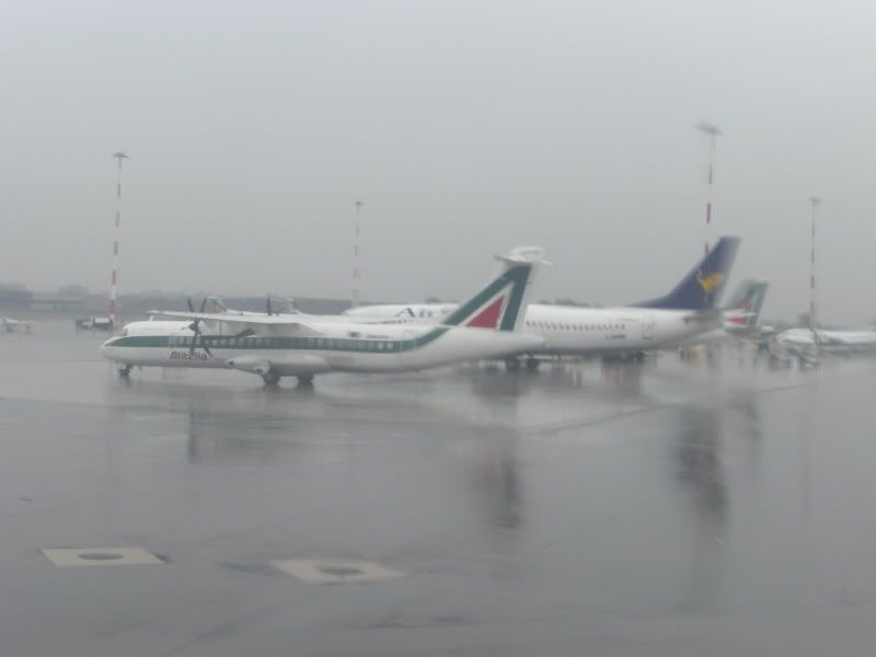CIMG5505.jpg