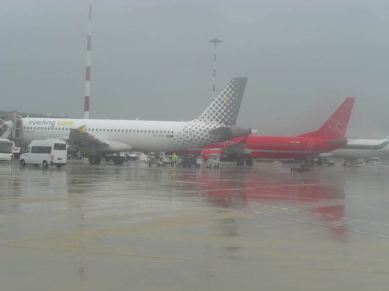 CIMG5511.jpg