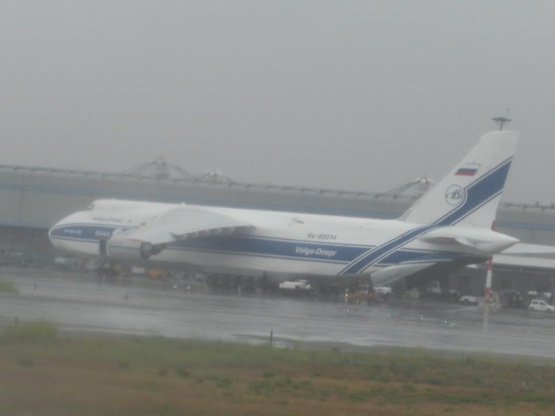 CIMG5521.jpg