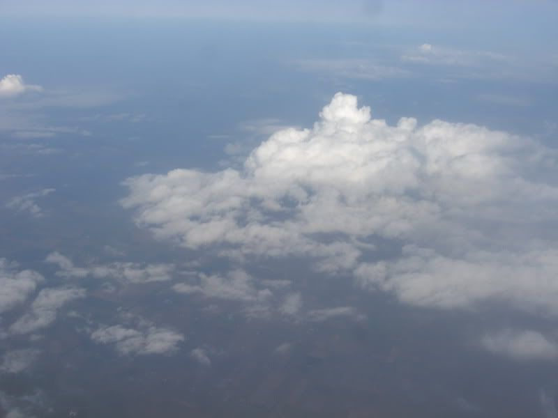 CIMG5528.jpg