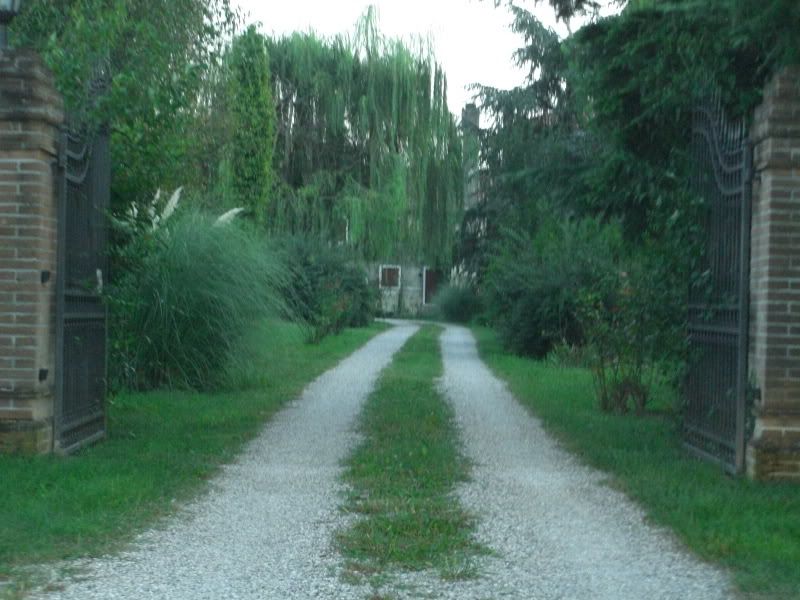 CIMG5543.jpg