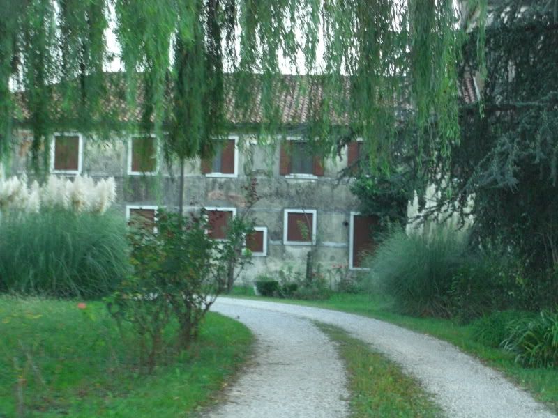 CIMG5544.jpg
