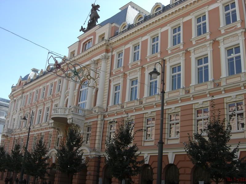 CIMG5696.jpg