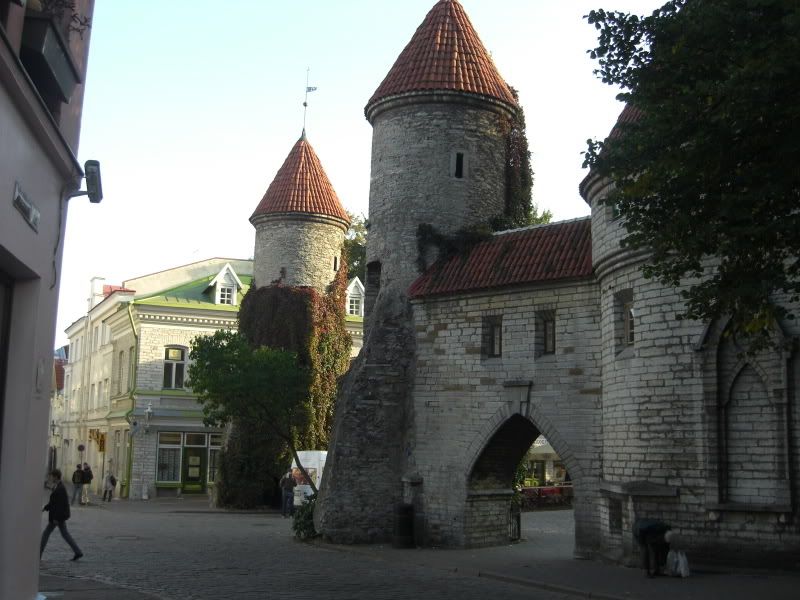 CIMG5754.jpg
