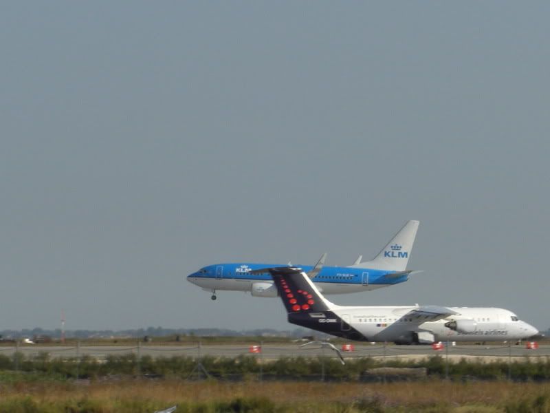 CIMG5863-1.jpg