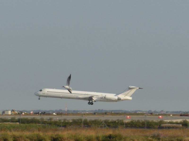 CIMG5864-1.jpg