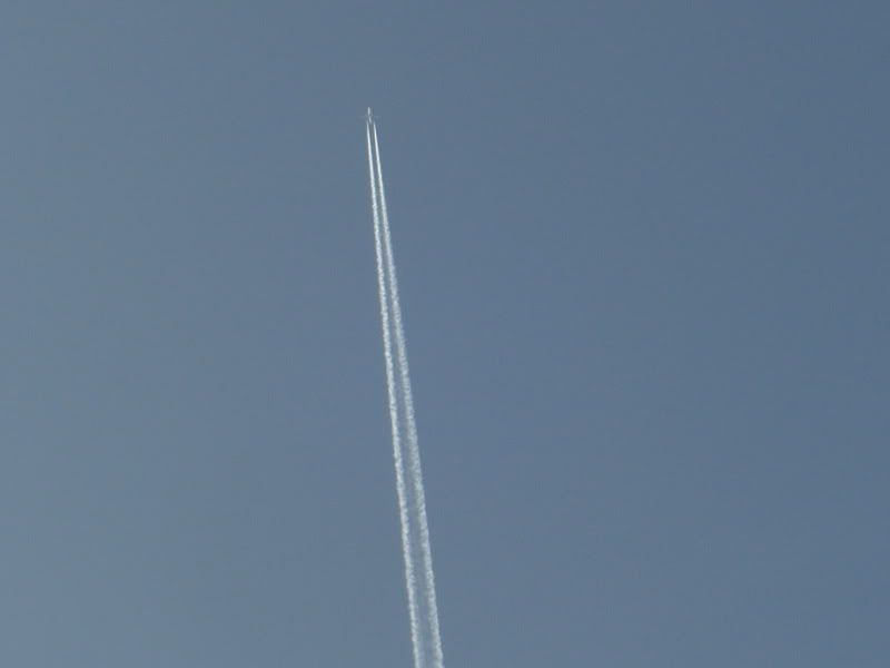 CIMG5865-1.jpg