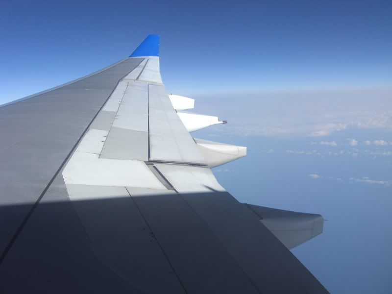 CIMG5910.jpg