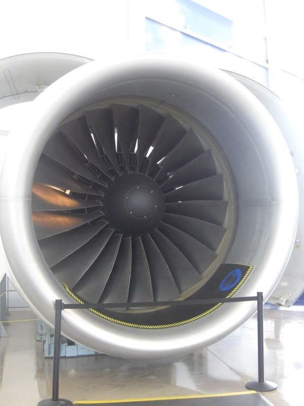 CIMG6060.jpg