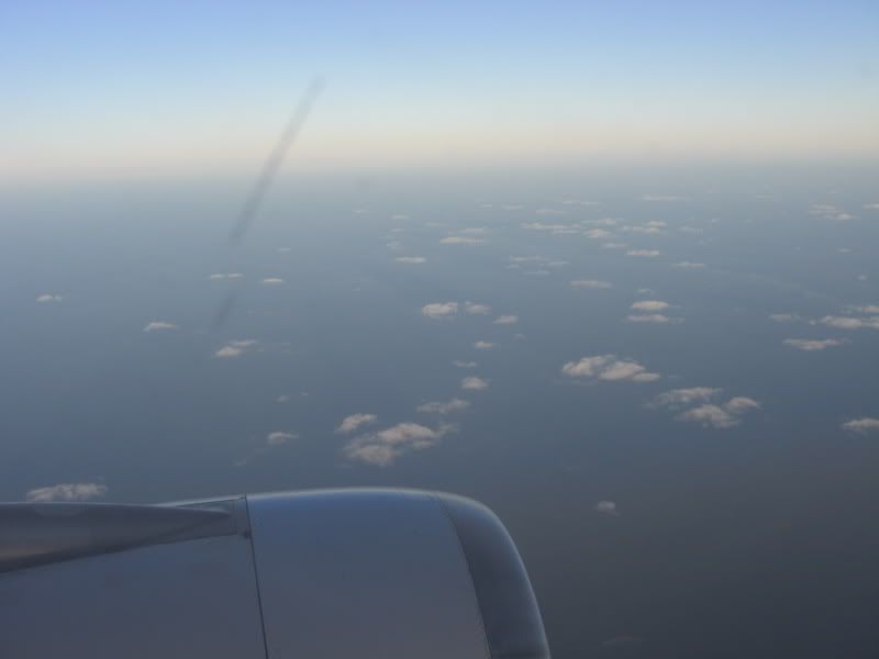 CIMG6950.jpg
