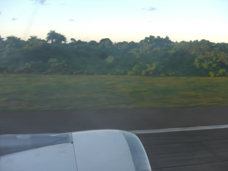 CIMG6967.jpg