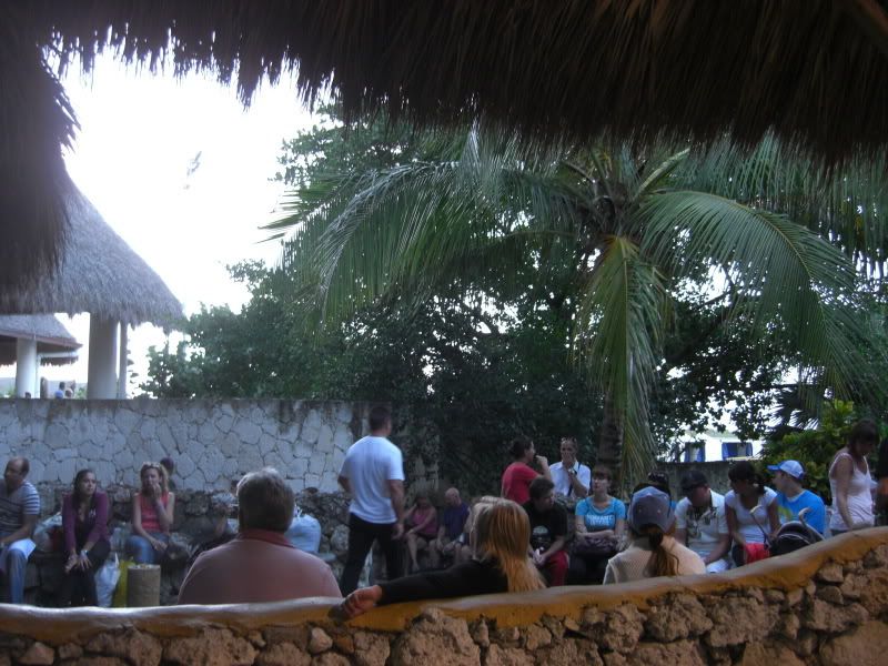 CIMG7037.jpg