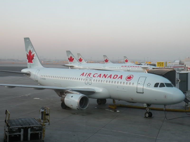 DSCN0629.jpg