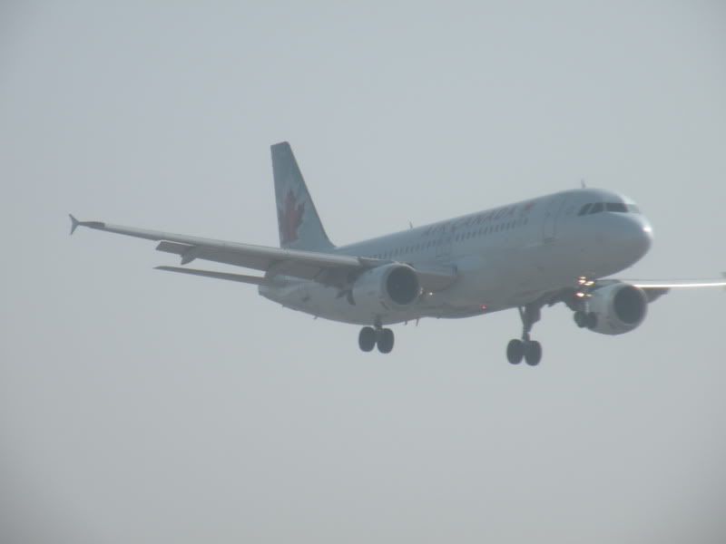 DSCN0646.jpg