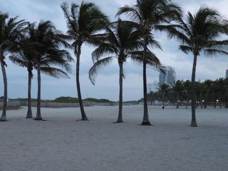 DSCN0675.jpg