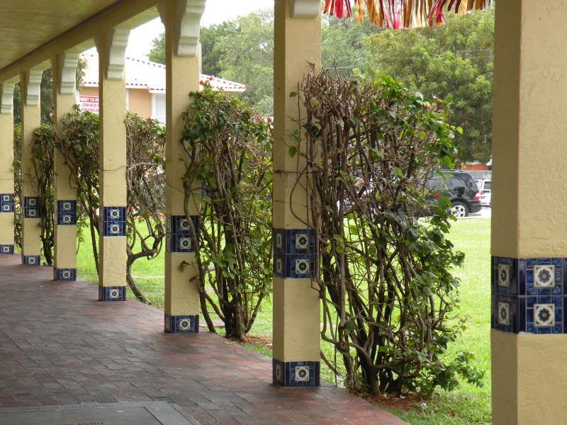 DSCN0710.jpg