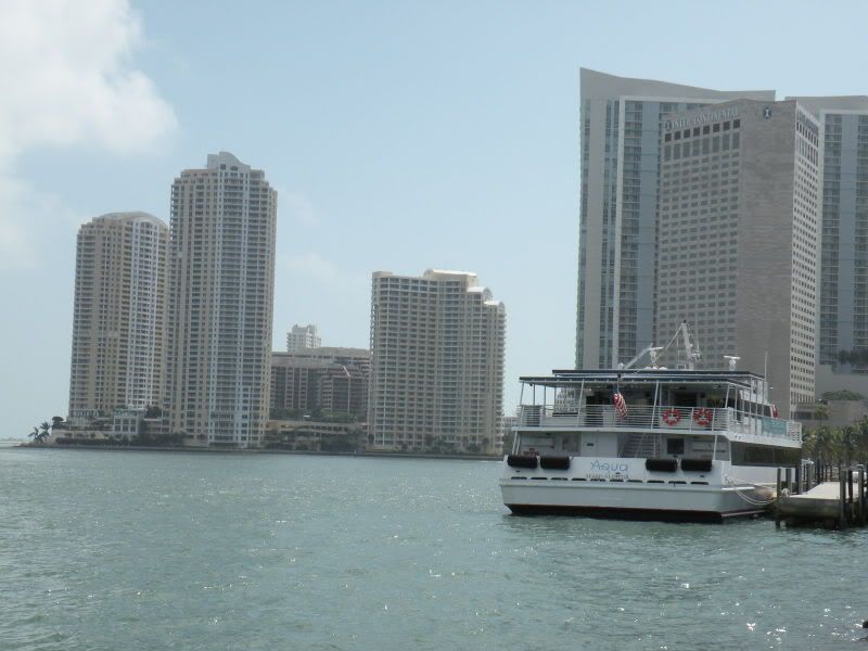 DSCN0716.jpg