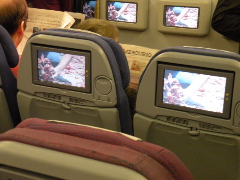 DSCN0739.jpg