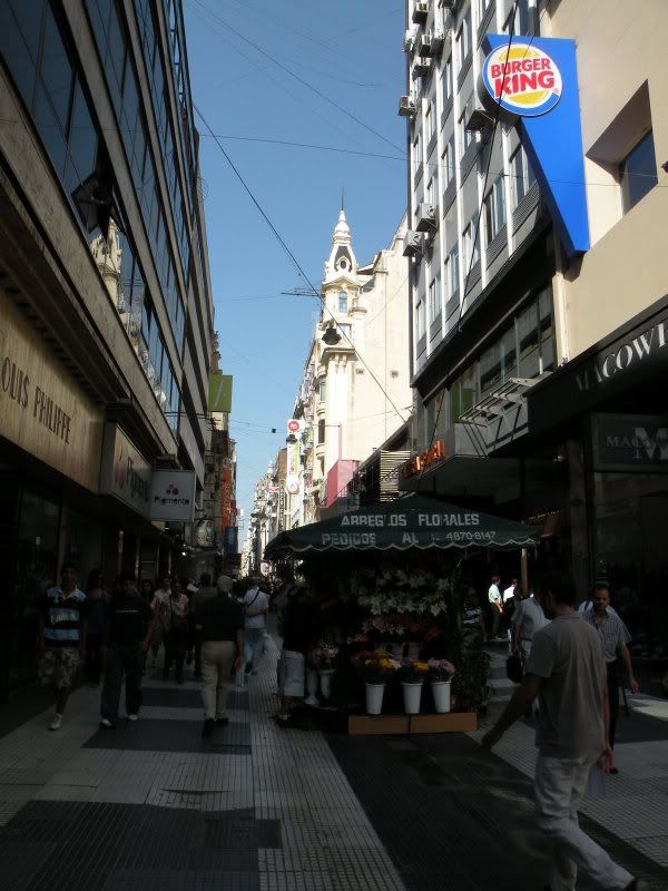 DSCN0822.jpg