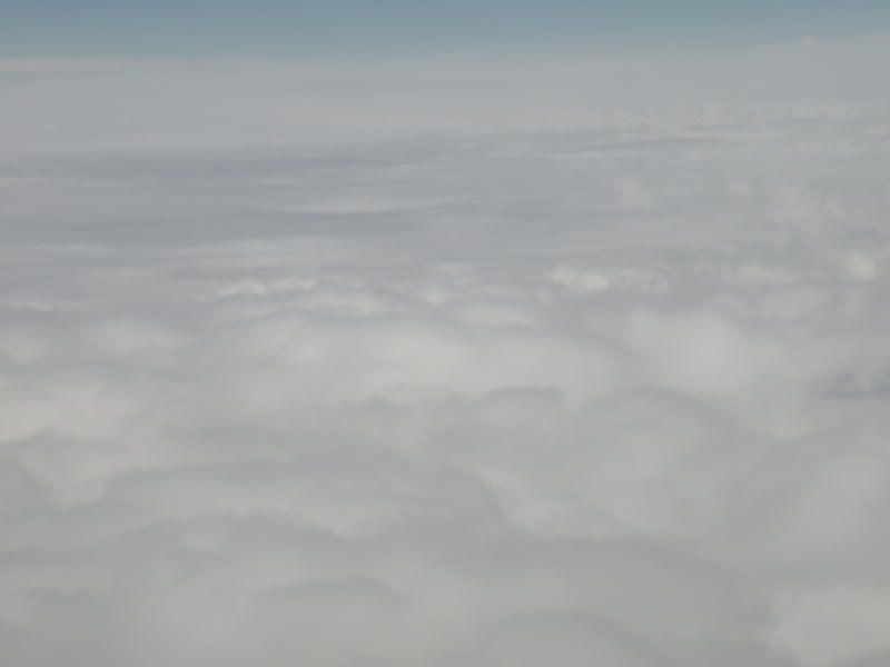 DSCN0953.jpg