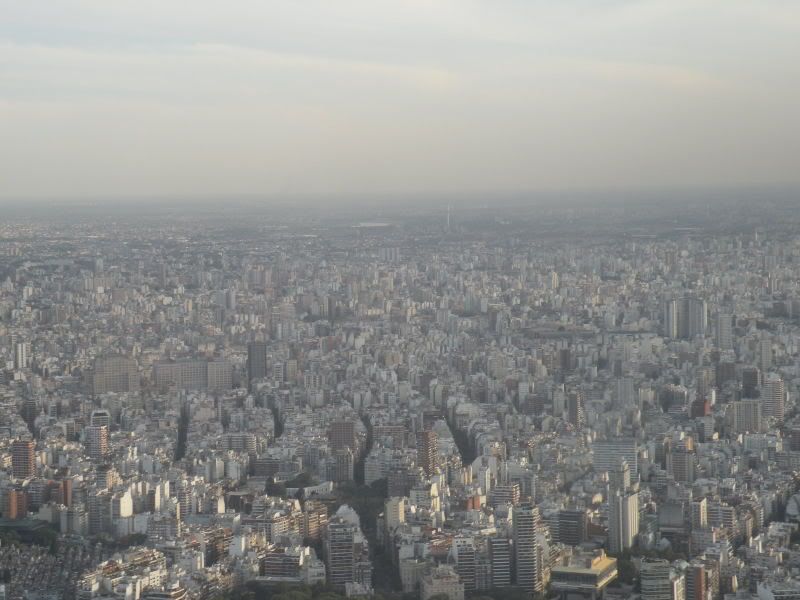 DSCN0992.jpg
