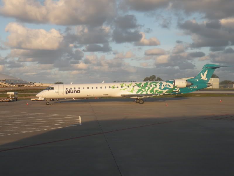 DSCN1001.jpg