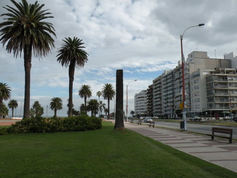 DSCN1058.jpg